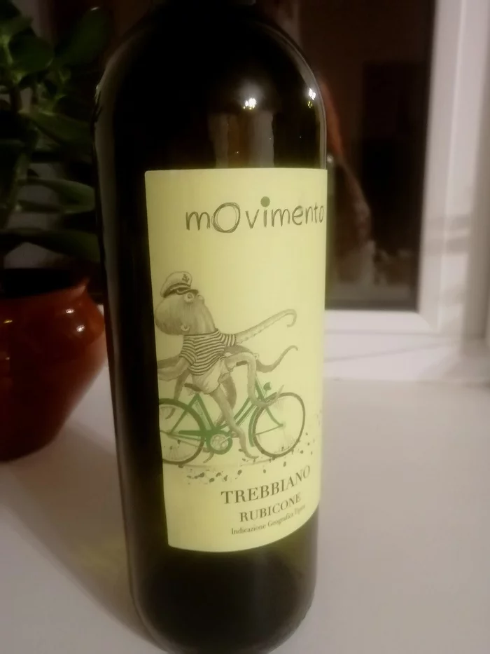 But I remember - My, Wine, Octopus, A bike, Name