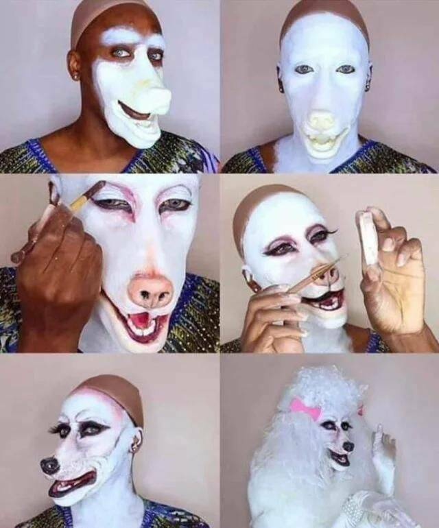 How to become white and fluffy - Cosplay, Makeup, Poodle, The photo, Transformation of appearance