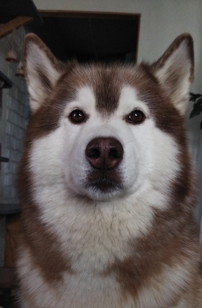 ���� �� �������