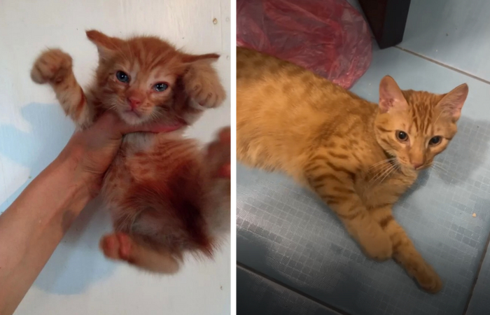 ����-����� �� ������� ������� � ���