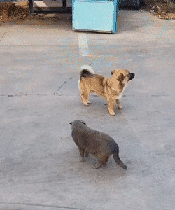      , , , 
