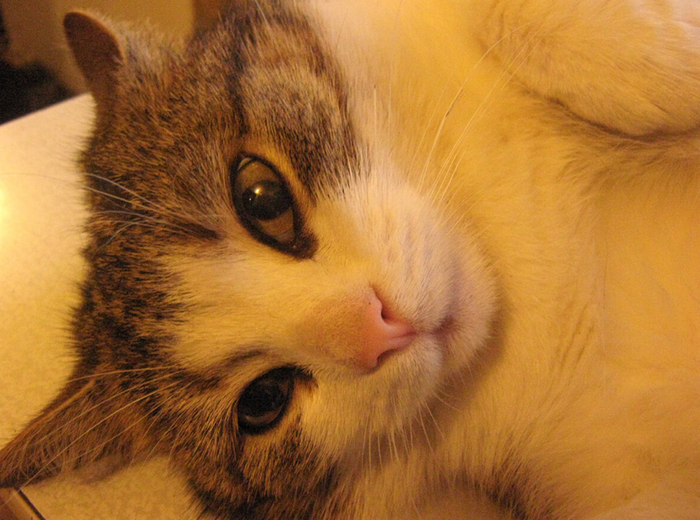     ,     , , ,  ,  ,  , 