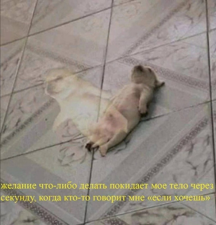   ,   
