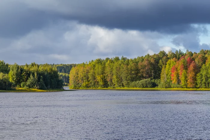 Kenozero National Park. Part 2. From a long trip around Poonezhie - My, sights, Architecture, Temple, Travel across Russia, Kenozero National Park, Kenozerye, Russia, Russian North, Lake, Longpost, The photo