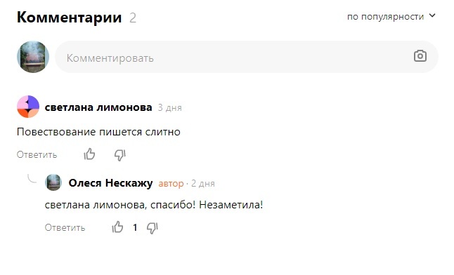 60. Дорожное приключение. (часть 2) - Моё, Странный юмор, Приключения, Длиннопост