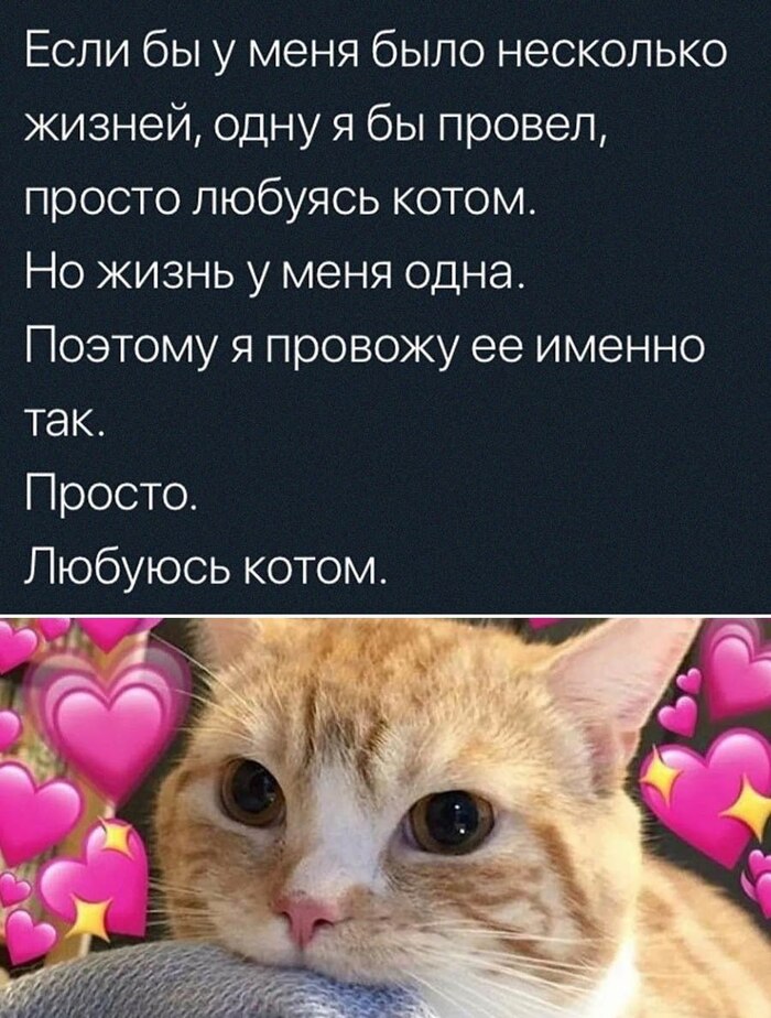 Жиза