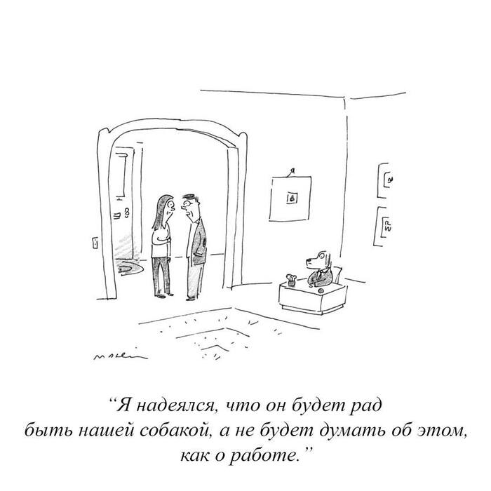     The New Yorker, , 