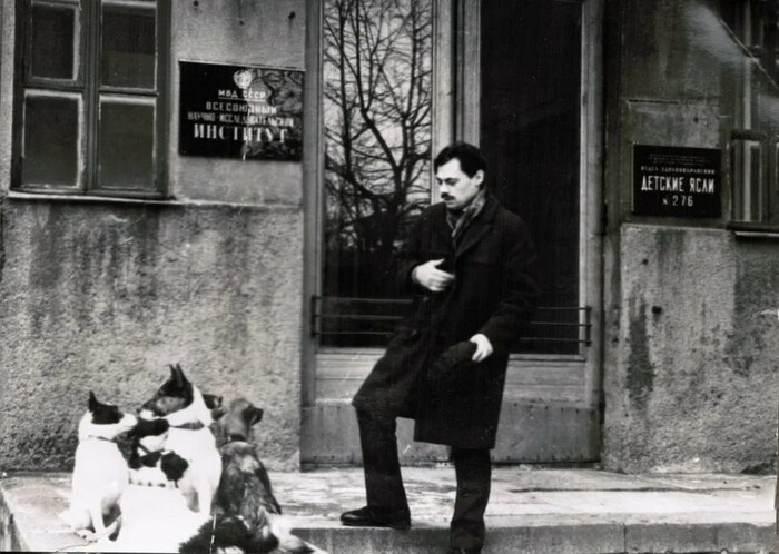 ���� ���������� �������