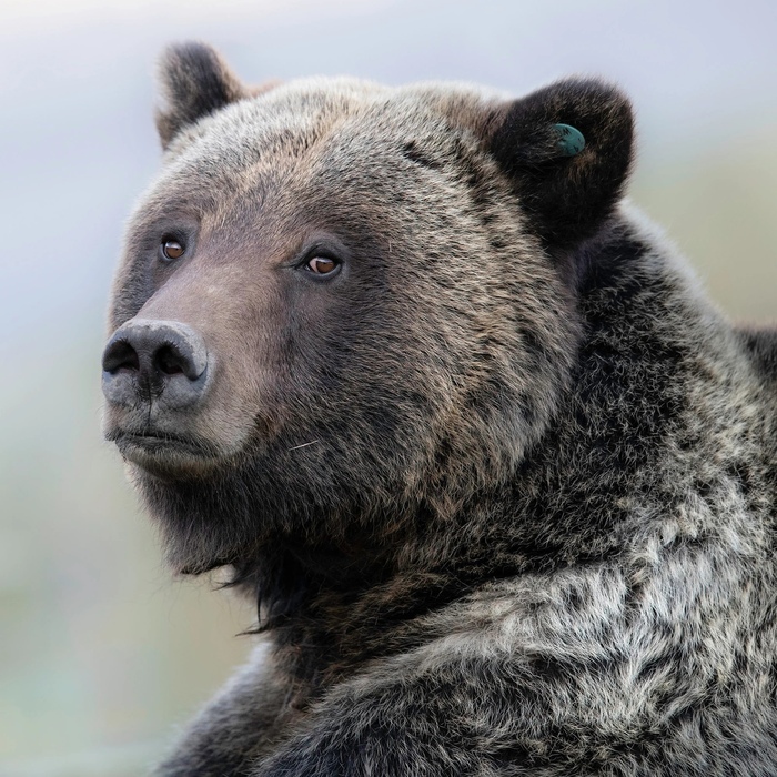 Фотопортрет