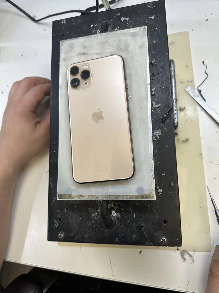 Сегодня нам принесли  iPhone 11 Pro без сети - iPhone, Ремонт, Люди, Клиенты, Горячее, Свежее, Видео, Длиннопост