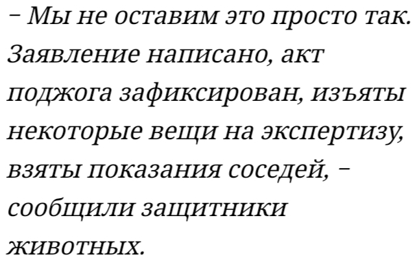 Near Bryansk, near Glazhenka, 50 cats and 2 dogs burned down in a home shelter - Negative, news, Bryansk, Animal shelter, Pets, Fire, Homeless animals, Arson