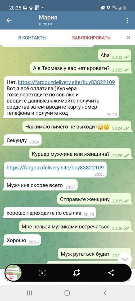 Когда у жуликов стресс и желание сменить работу - Мошенничество, Юмор, Длиннопост, Мат, Скриншот, Переписка