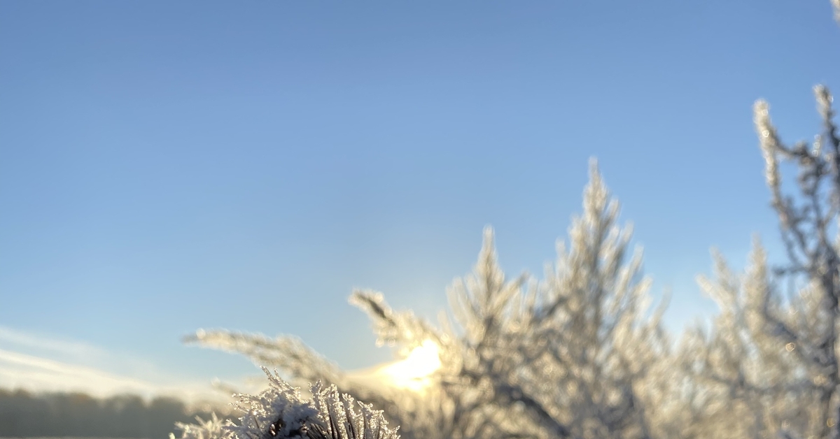 Утро, ноябрь | Пикабу