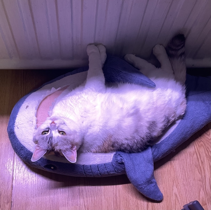 Зима близко