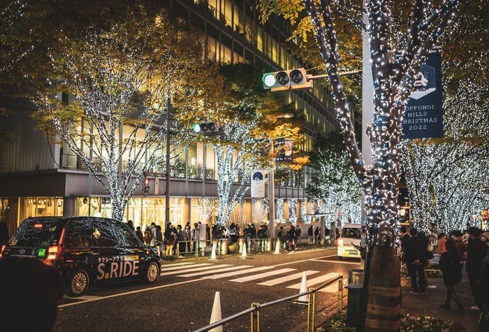 Japan, Roppongi - Моё, Япония, Токио, Фотография, Вечер, Город, Длиннопост, Огни города