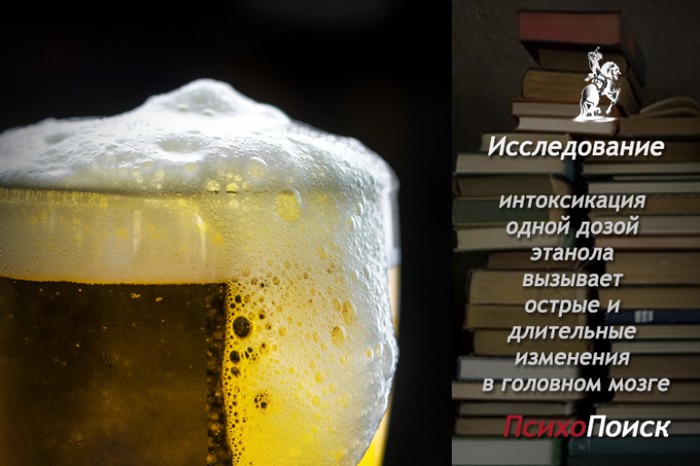 Исследование : интоксикация одной дозой этанола вызывает острые и длительные нейронные изменения в головном мозге