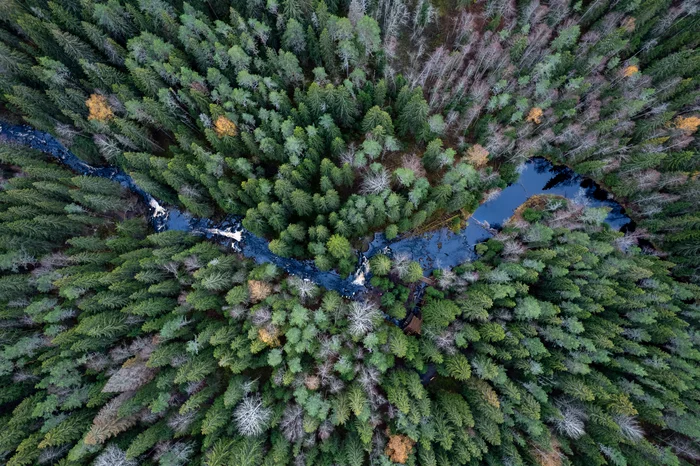 blue ribbon - My, Nature, Autumn, The photo, The rocks, Dji, Karelian Isthmus