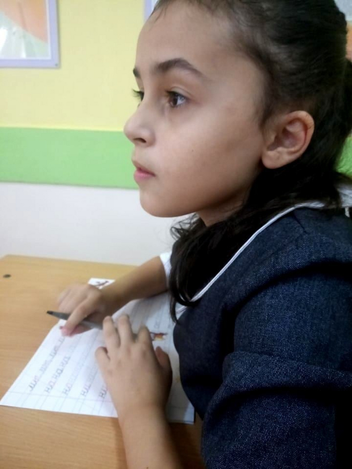 ШКОЛЬНЫЙ ДНЕВНИК-4