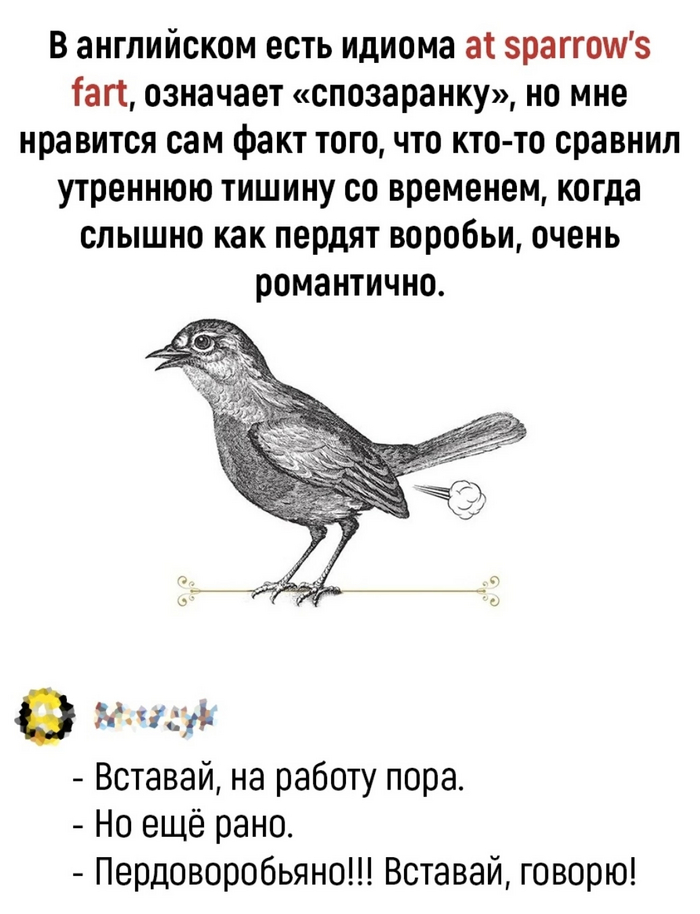           ,  ,  ,   , 
