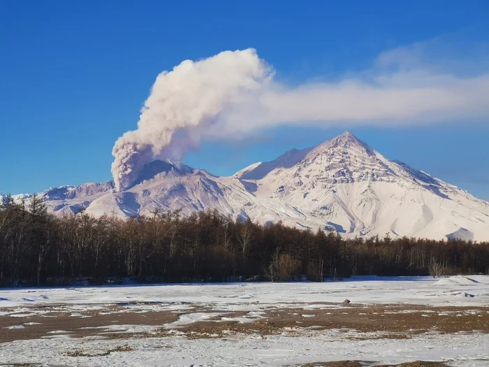 Volcano Shiveluch - My, Volcano, Sheveluch Volcano, Fox, Kamchatka, Eruption, Video, Longpost
