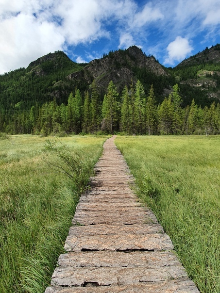 Altai. Road to the geyser lake - My, Altai Republic, Mobile photography