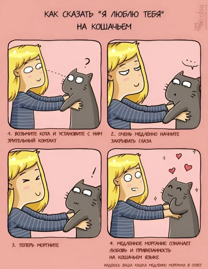 I love you in cat language - cat, Comics, Love, Catsu, Milota