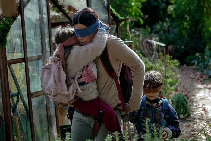 Bird box. Horror/Sci-Fi - My, Horror, Science fiction, Post apocalypse