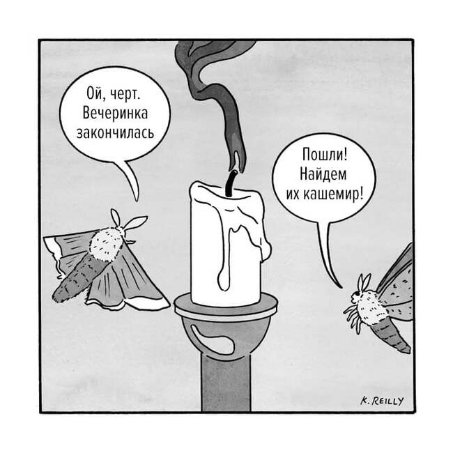     , The New Yorker, 