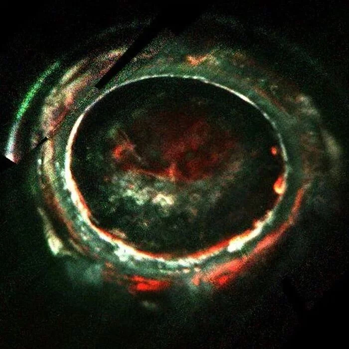 Here is a snapshot of the aurora in the southern hemisphere of Jupiter: - Space, Planet, Jupiter, Ultraviolet, Polar Lights, Astronomy, Astrophoto