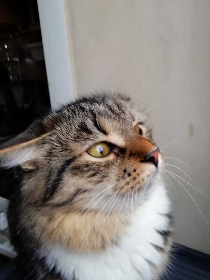   , ,  , 