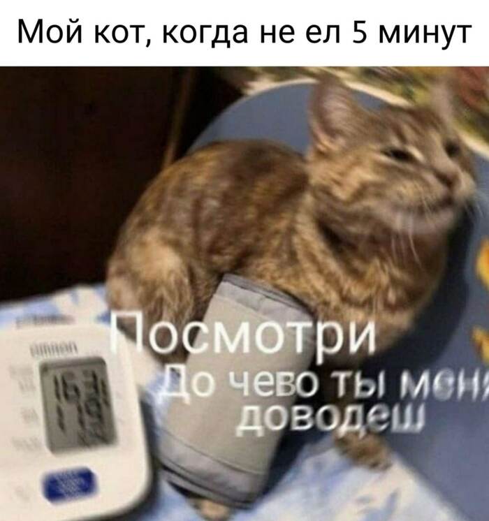      ,       5  ,   , 