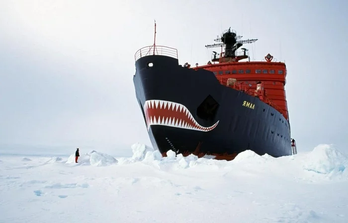 The legend of the Baltic Shipyard is the toothy nuclear icebreaker Yamal - Nuclear icebreaker, the USSR, Arctic, Fleet, Russia, Longpost, Yandex Zen