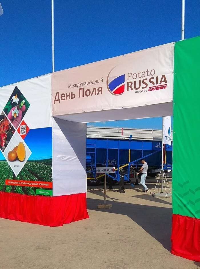 As I visited the bottom of the field. Potato RUSSIA 2022 - My, Potato, Kemerovo region - Kuzbass, field day, Сельское хозяйство, Quiz, Competition, Longpost