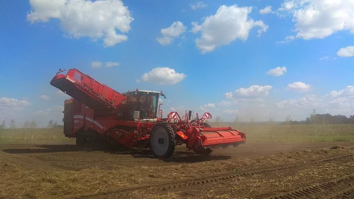 As I visited the bottom of the field. Potato RUSSIA 2022 - My, Potato, Kemerovo region - Kuzbass, field day, Сельское хозяйство, Quiz, Competition, Longpost