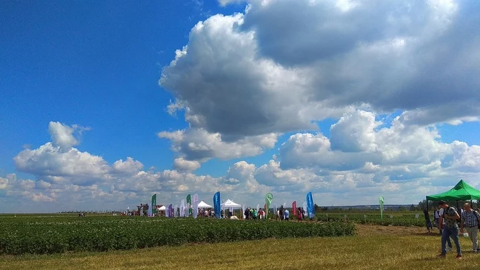 As I visited the bottom of the field. Potato RUSSIA 2022 - My, Potato, Kemerovo region - Kuzbass, field day, Сельское хозяйство, Quiz, Competition, Longpost