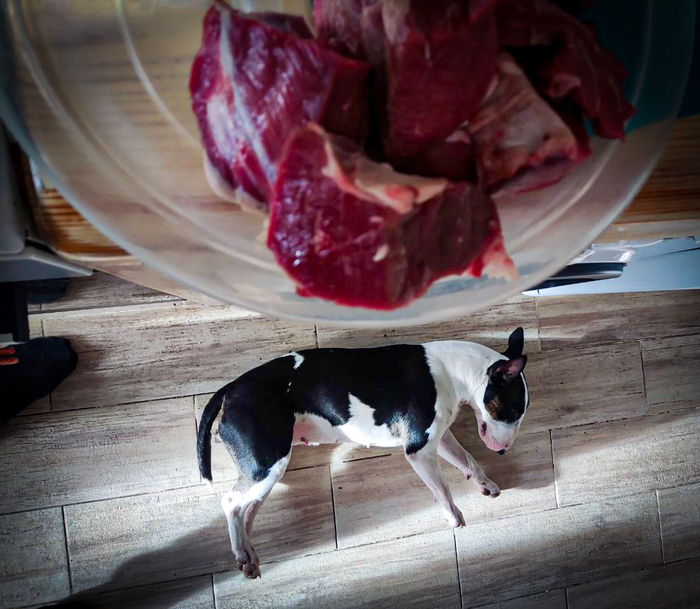 Охрана утомилась