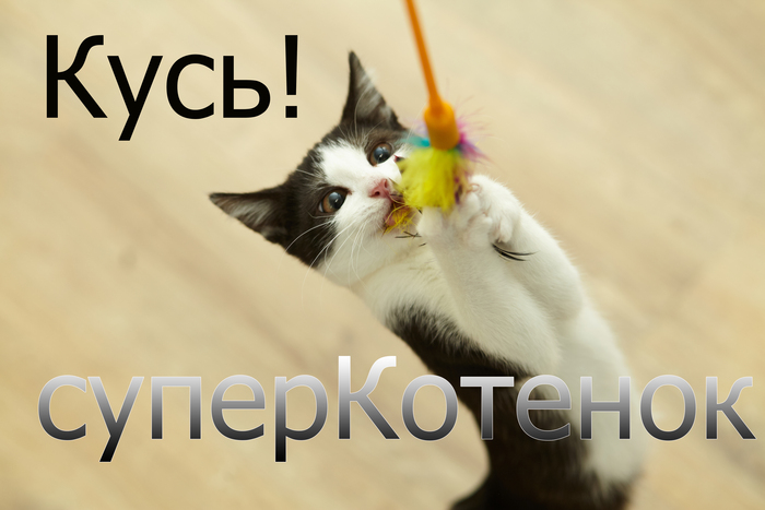     ,   ,  , , ,  ,   , 