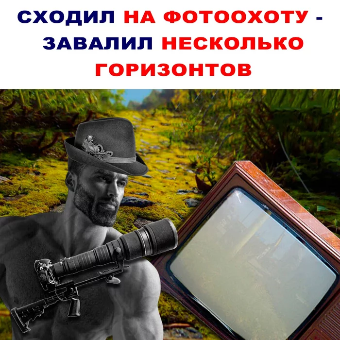 Фотоохота - Юмор, Картинка с текстом, Мемы, Фотоохота, Игра слов, Каламбур