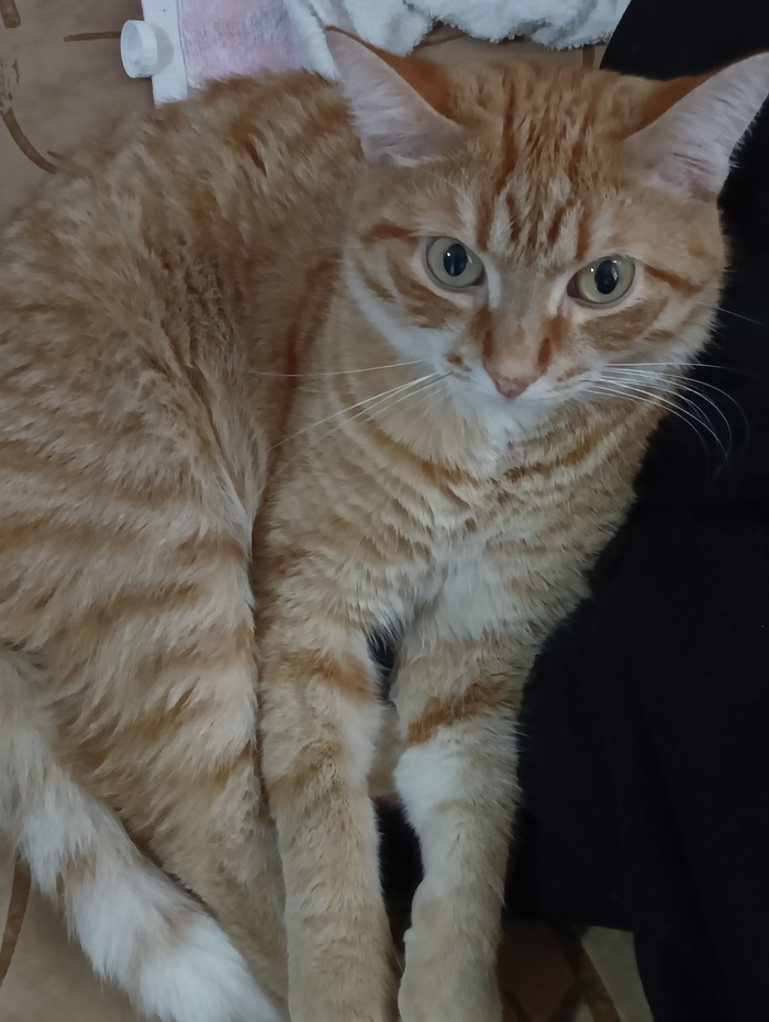 Сила Пикабу помоги!!!!