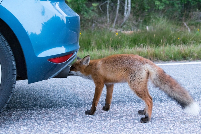 ����� ��������� ^.^