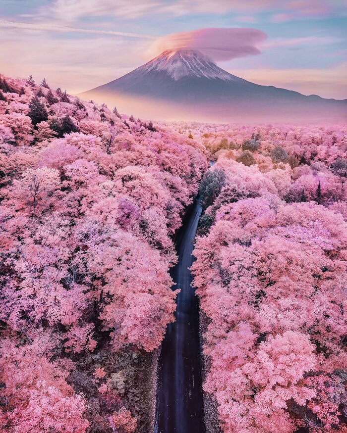 Фудзи Фотография, Фудзияма, Япония, Горы