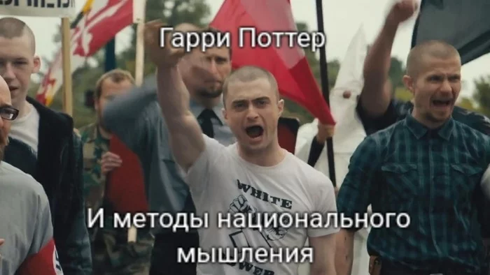 Harry Potter and the Methods of National Thinking - My, Harry Potter, Harry Potter and The Methods of Rational Thought, Memes, Imperium, Nazism, Daniel Radcliffe