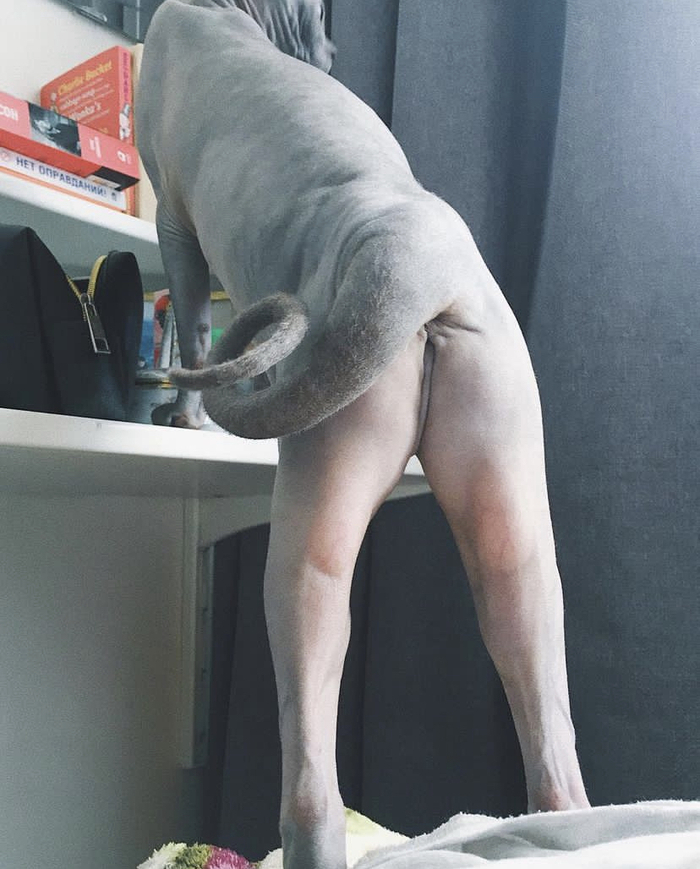 ,  , ,  , ,  