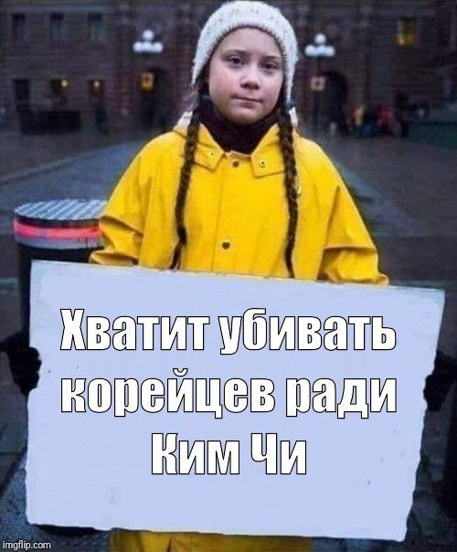 On a wave of soups and carrots - My, Greta Thunberg, South Korea, Food, Picture with text
