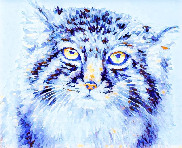 All colored manulo dreams! - Pallas' cat, Pet the cat, Small cats, Cat family, Predatory animals, Images