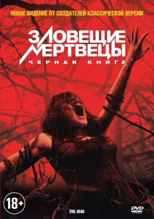  :   / Evil Dead / 2013  ,  , , 