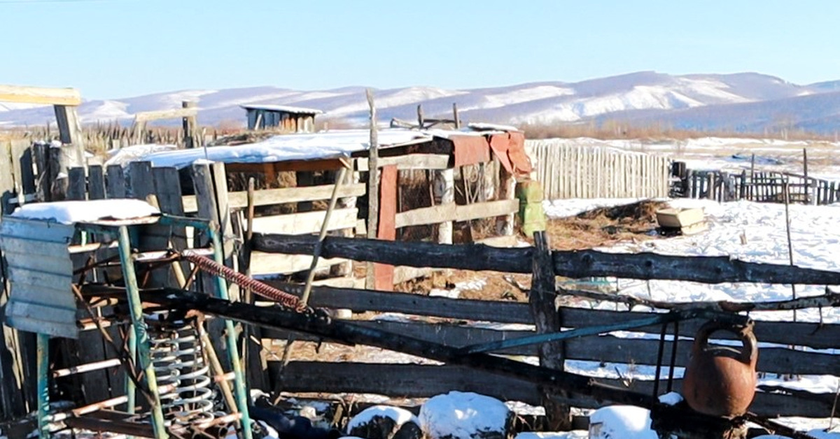 Первый парень на деревне: Самодельный сельский дровокол и коптильня из ...