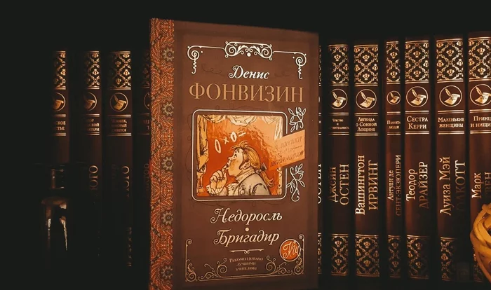 Бригадир Фонвизина (рецензия) - Моё, Литература, Писатели, Обзор книг, Чтение, Книги, Фонвизин, Что почитать?, Русская литература, Русская классика, Писательство