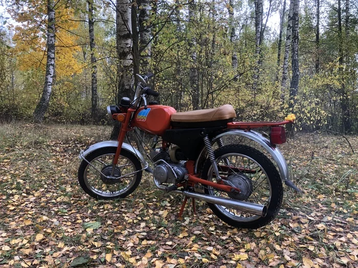 Closing of the personal retro season 2022 - My, Moto, Motorcyclists, Carpathians, Moped, Scooter, Retro, Retrotechnics, Walk in the woods, Autumn, Prohvat, Closing the season, Video, Longpost, The photo
