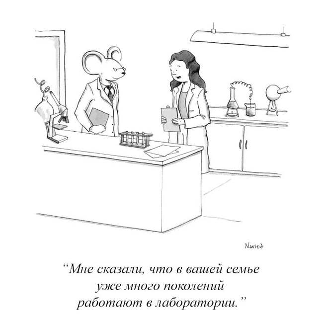 У нас династия Комиксы, The New Yorker, Лаборатория